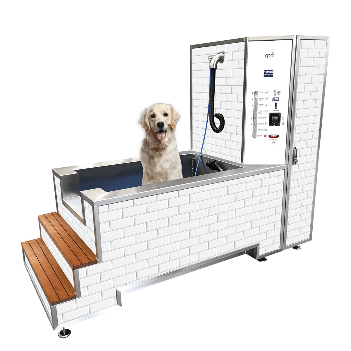 iClean Dog Wash, Experience Dog Wellness