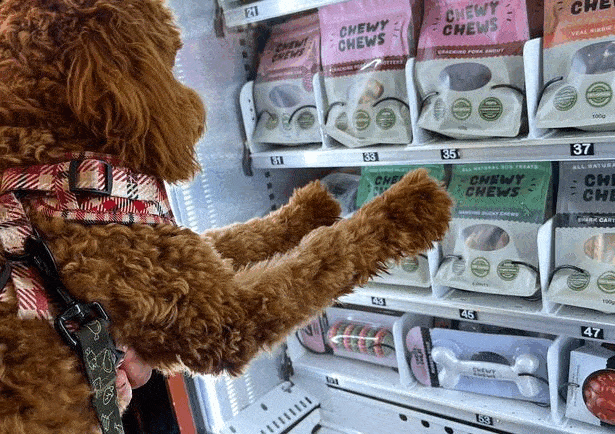 Chewy Chews Doggie Vending